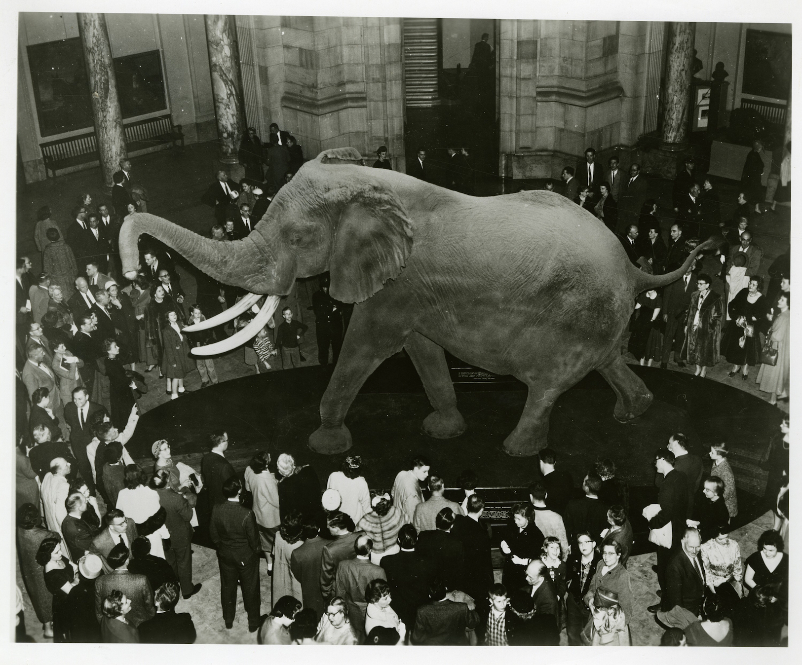 Smithsonian Timeline Smithsonian Institution Archives